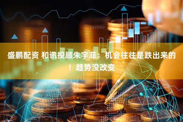 盛鹏配资 和讯投顾朱宇菲：机会往往是跌出来的！趋势没改变