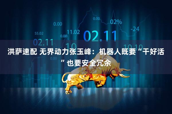 洪萨速配 无界动力张玉峰：机器人既要“干好活”也要安全冗余